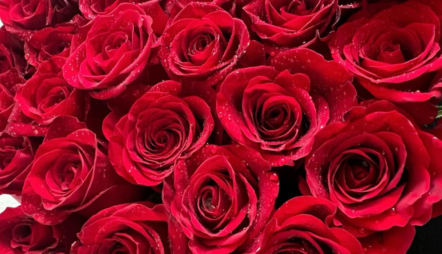 Poetry- Our Uncertain Hearts