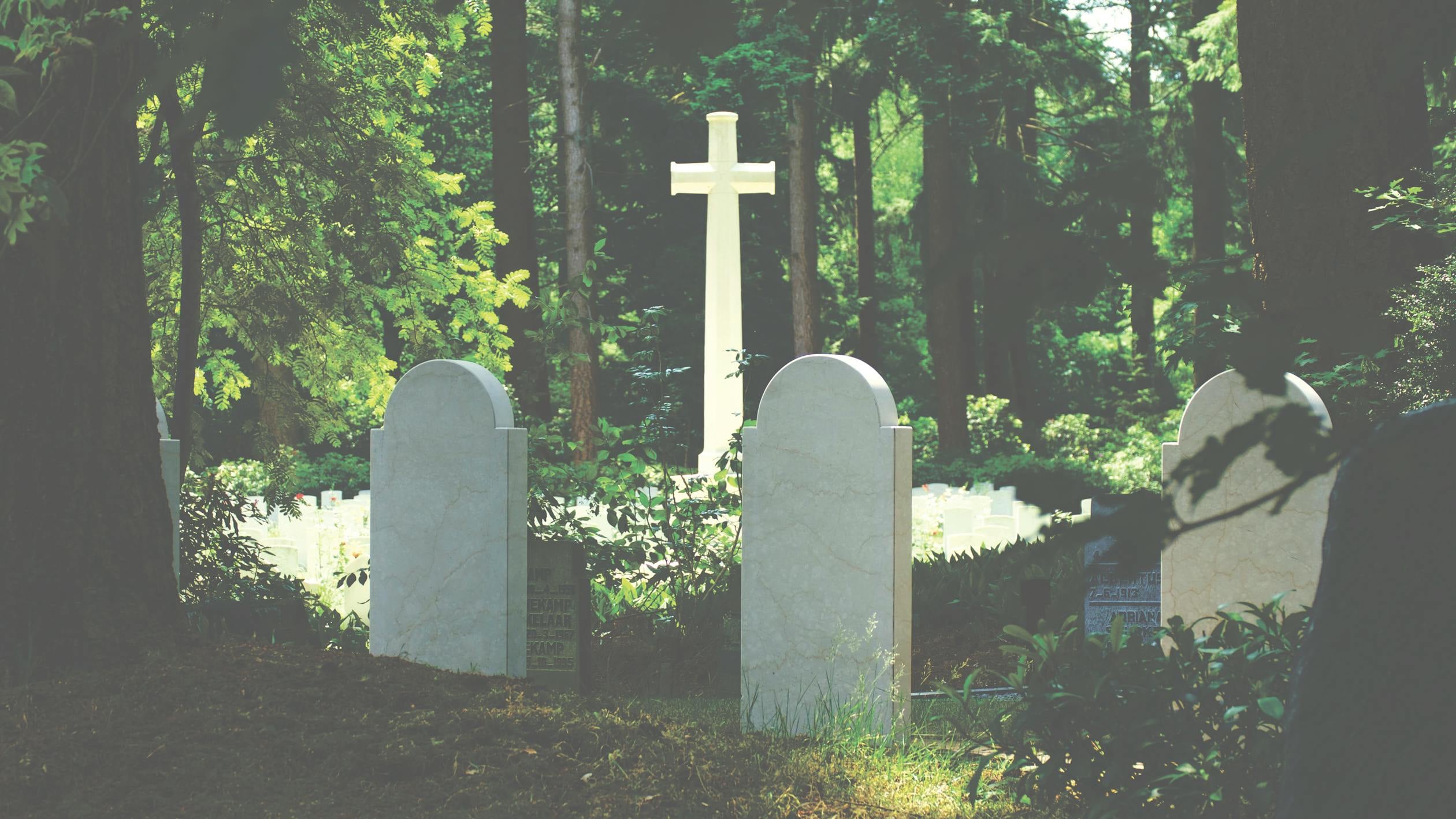 Digging Old Graves