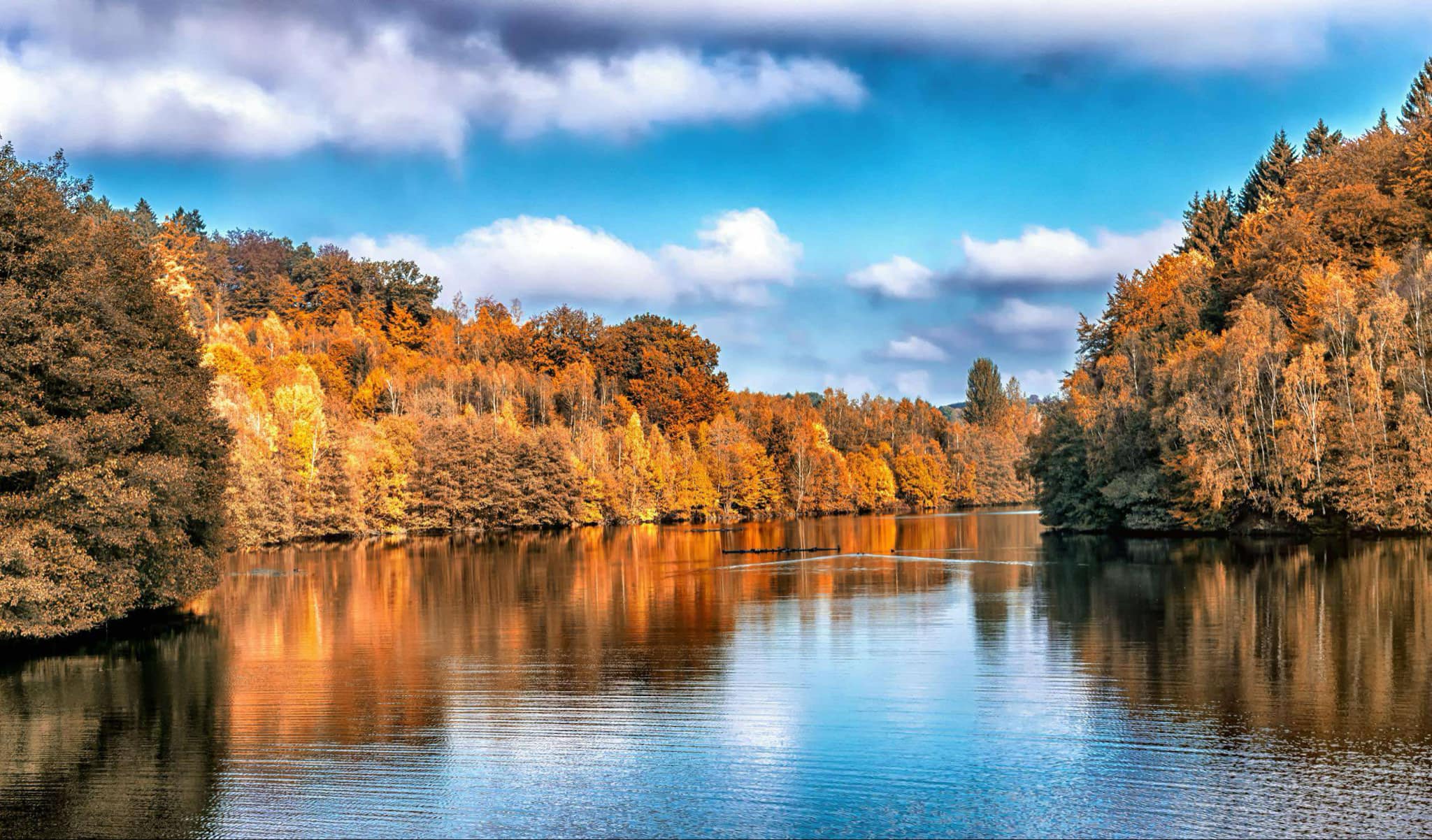 Poetry- Turning Autumn