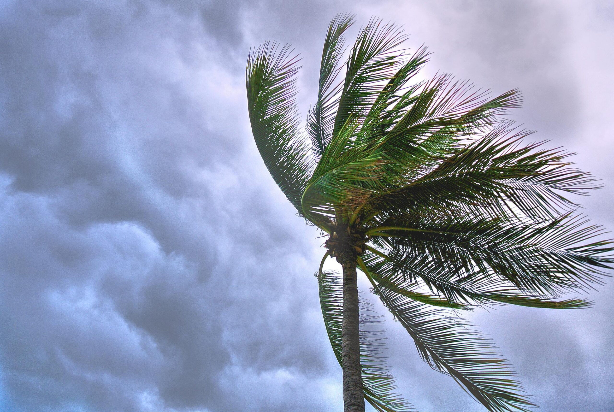 The Curious Case Of Tampa’s Forcefield: And What Will Happen When It Fails