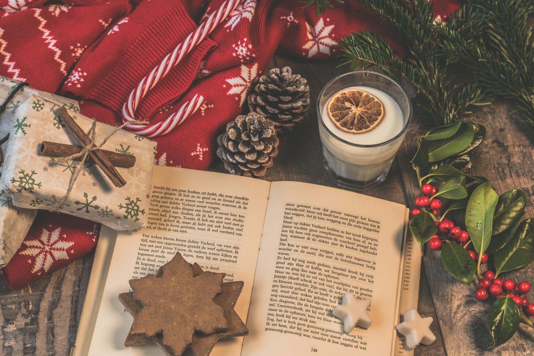 Holiday Book Guide 2024