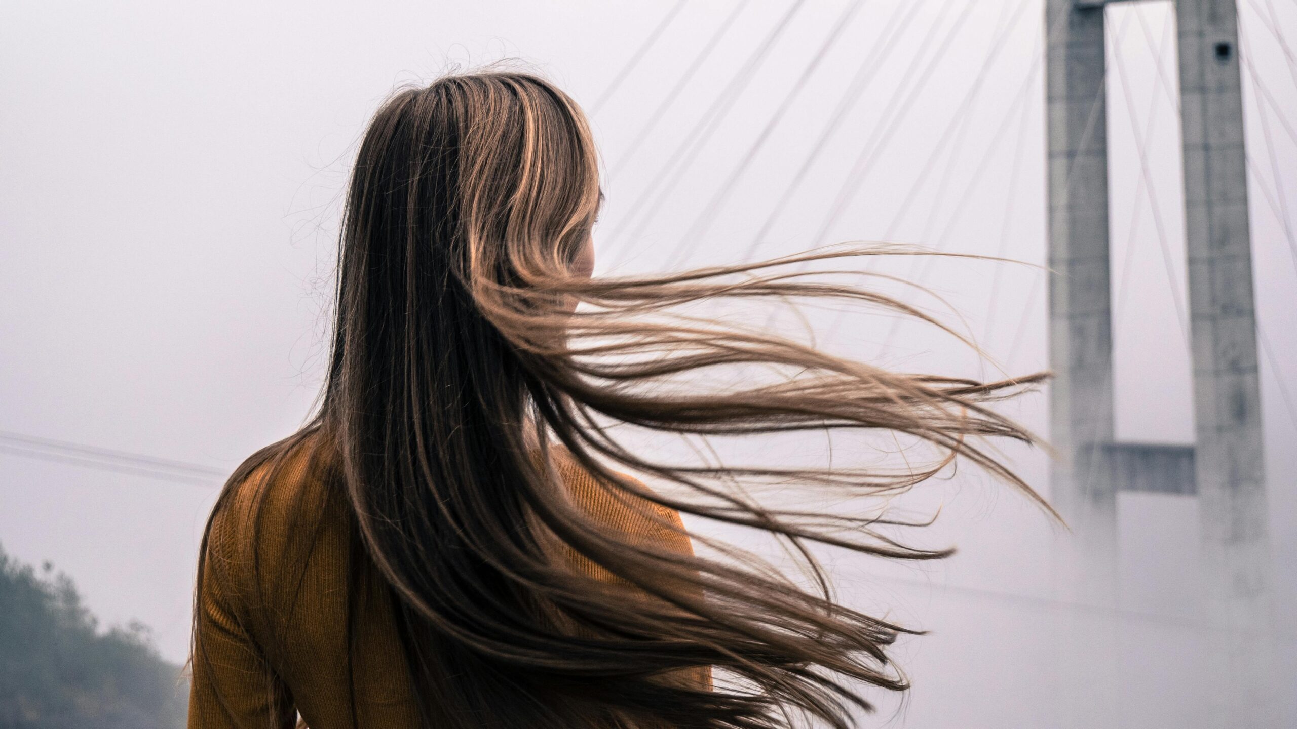 Poetry – Becoming Wind