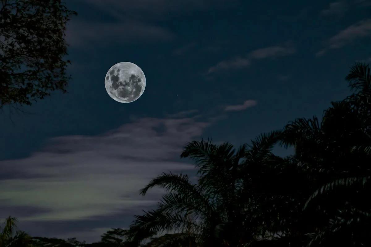 Back Home, On The Moon