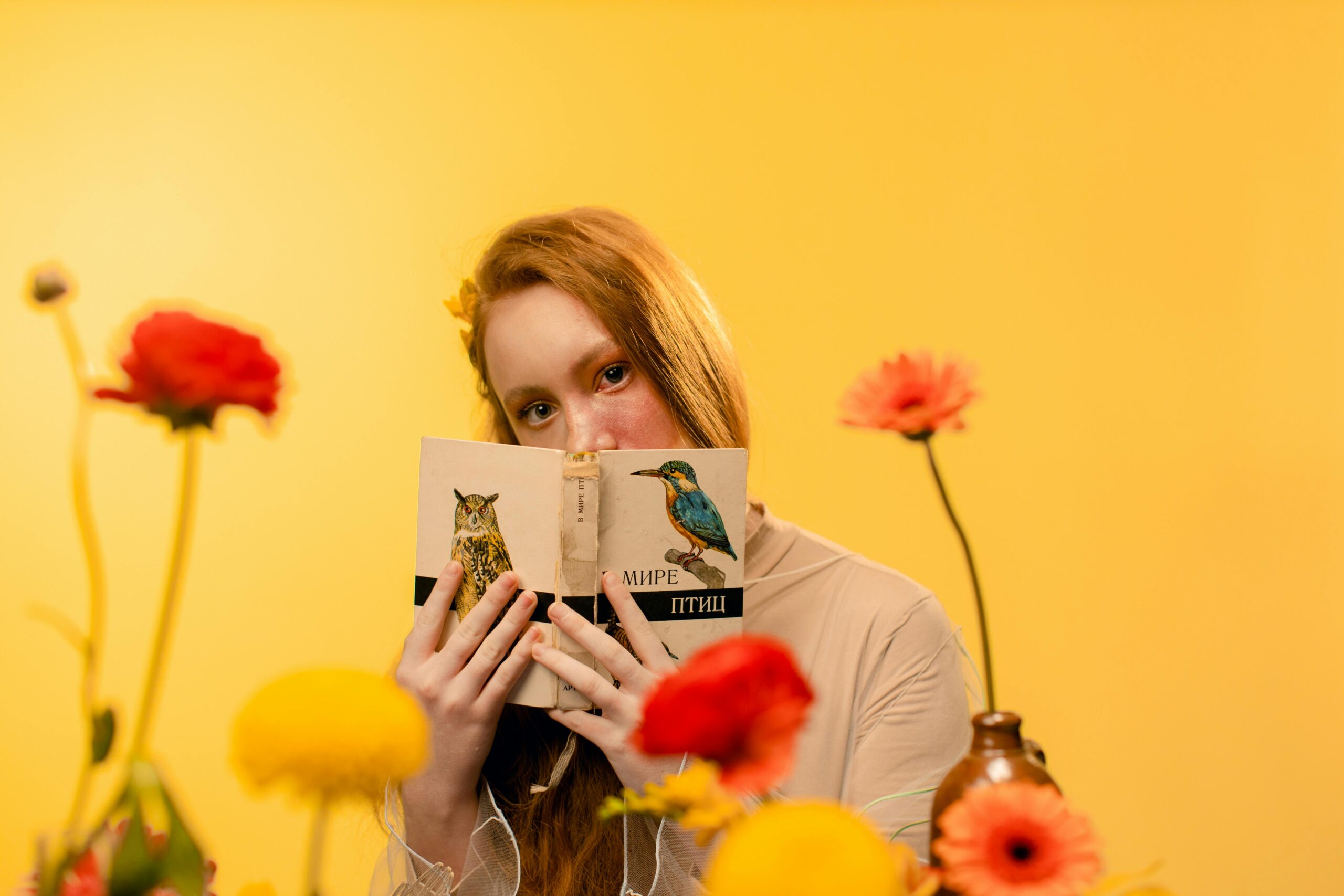 Paul Murray’s “The Bee Sting”