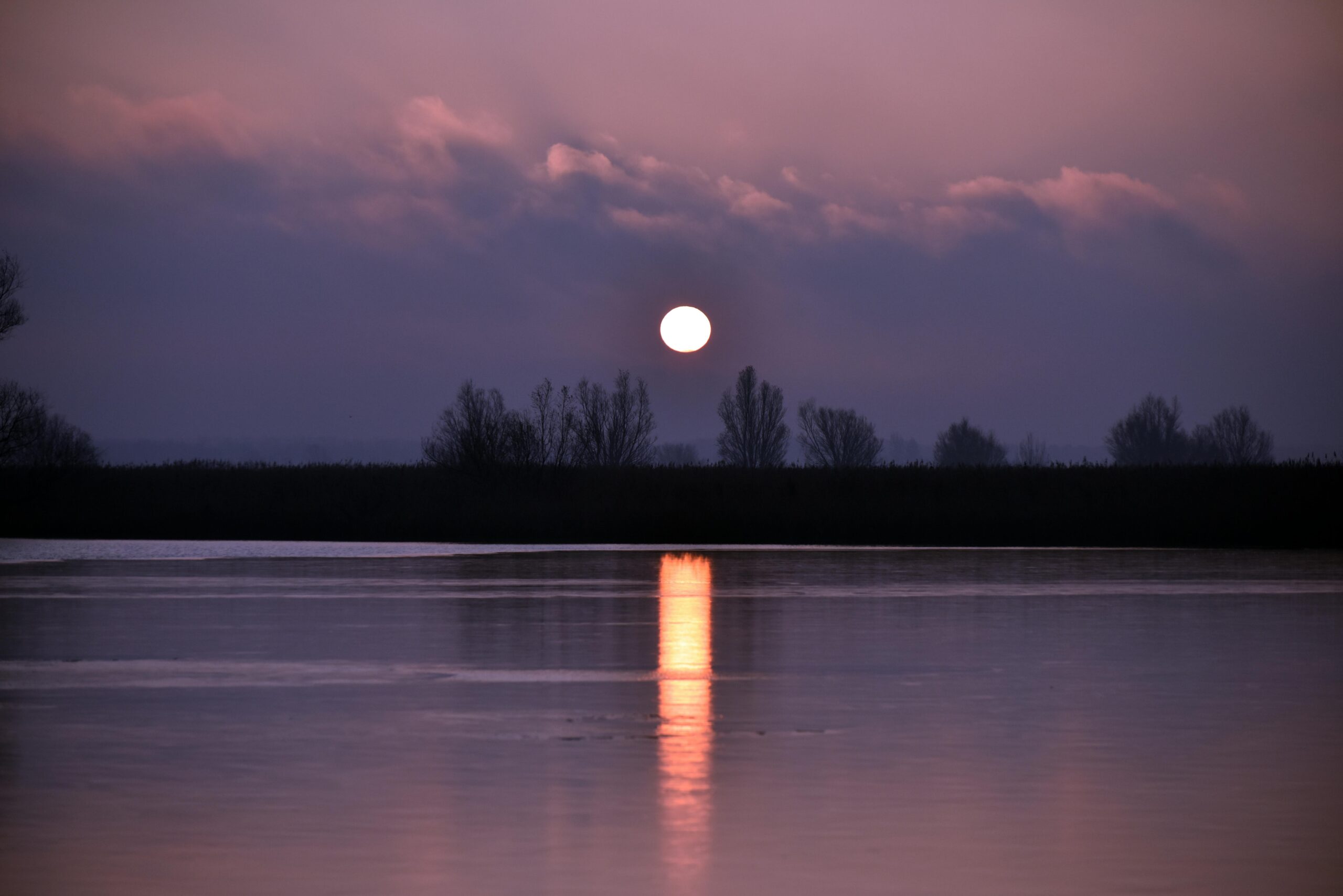 Torn Between Forgetting And Remembering