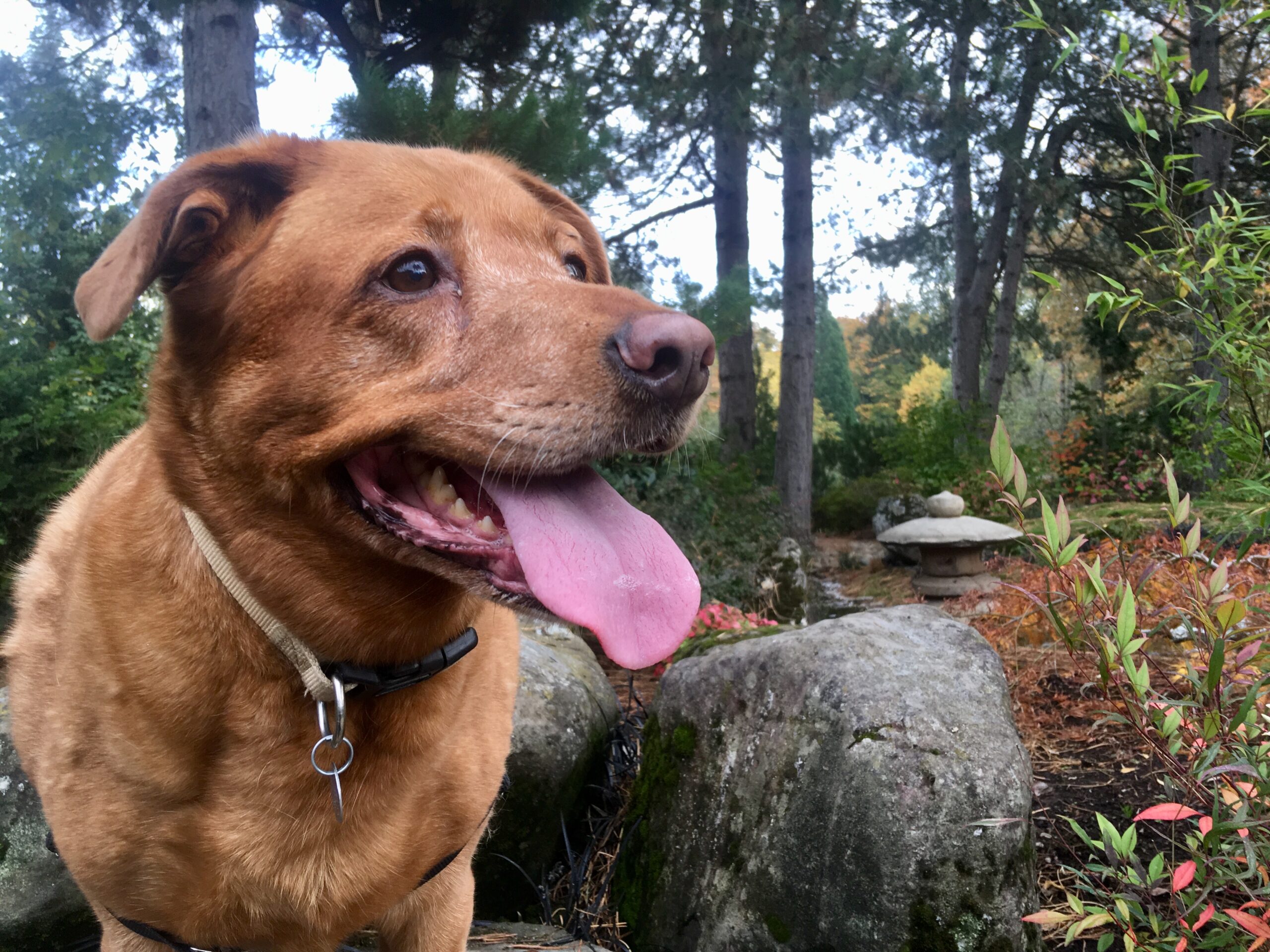 Bernadette’s Story, Part 2: Living, Loving, and Learning to Trust