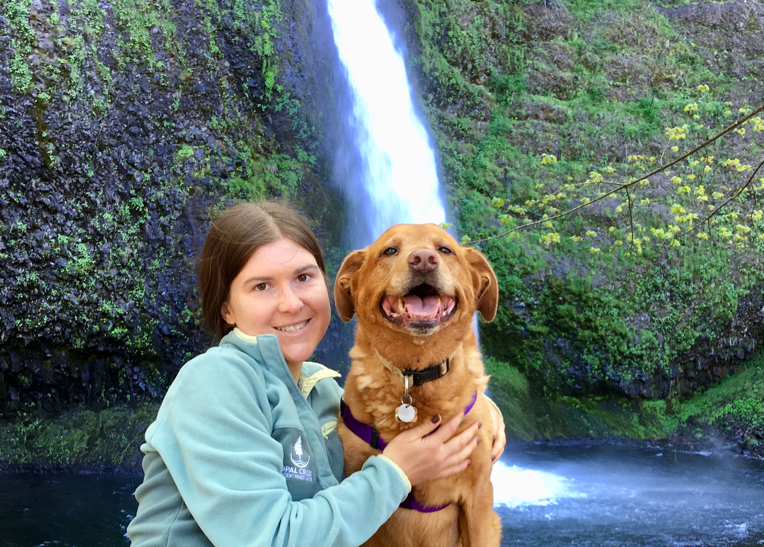 Bernadette’s Story, Part 1: Meeting The Mongrel