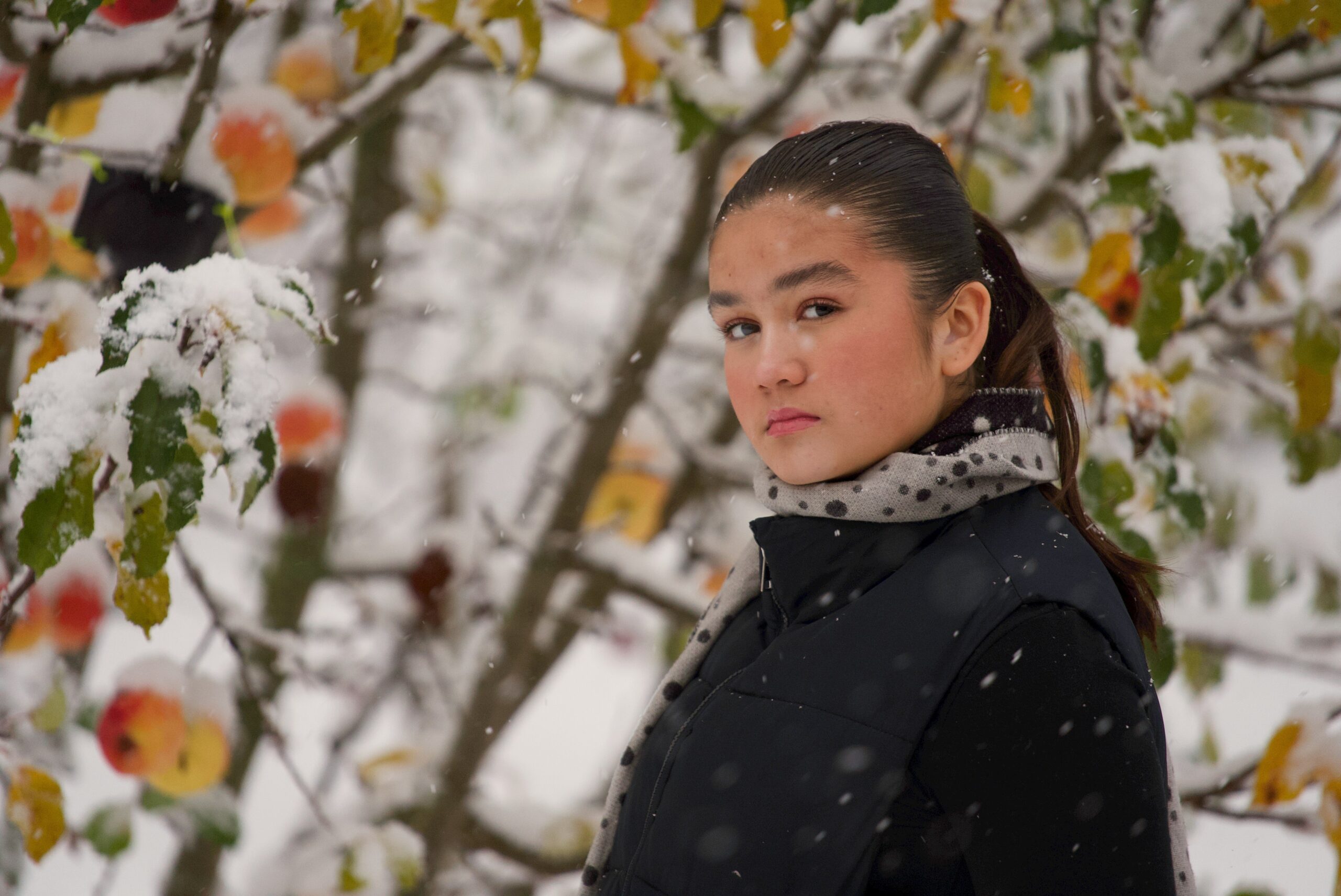 On Frozen Ground