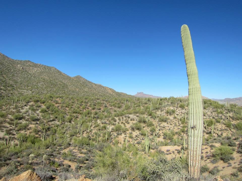 Lost And Found In The Desert- (A True Story)